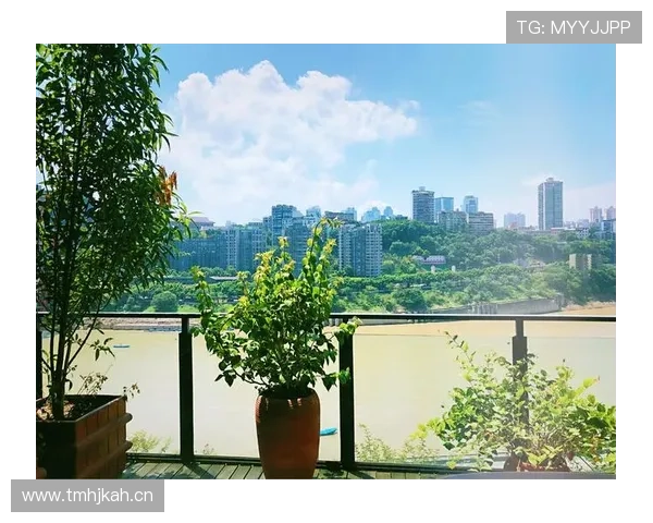 刚看田亮家院子那布置，感觉跑去住一线豪宅没差吧！