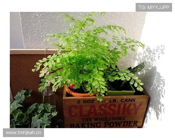 杜丽家里那小花园都比我房子大，她打完球还能亲自下厨？真的假的？！